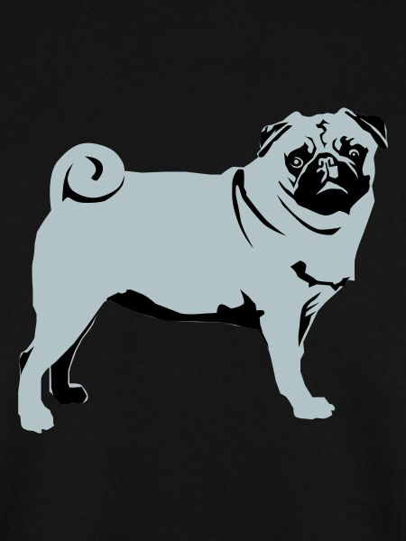 Pug