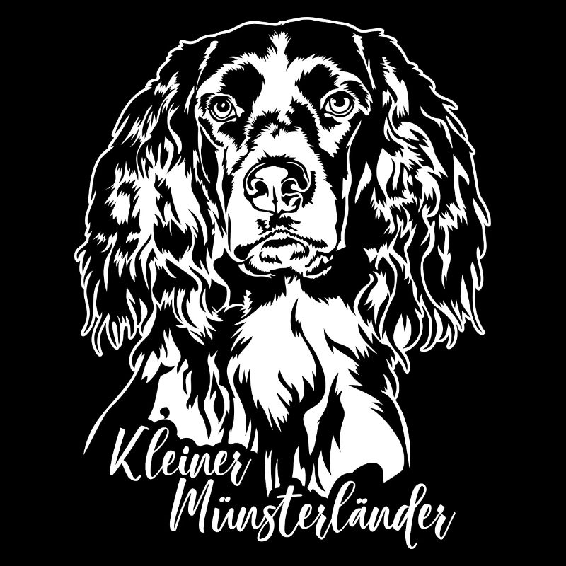 Kleiner Münsterländer Jagdhund Jagdhunde Wilsigns