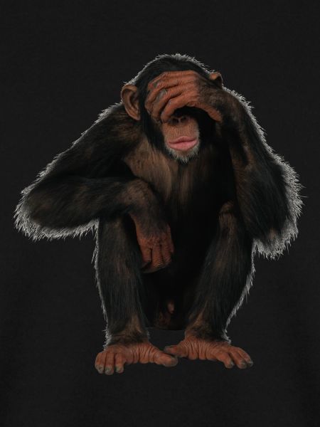monkey