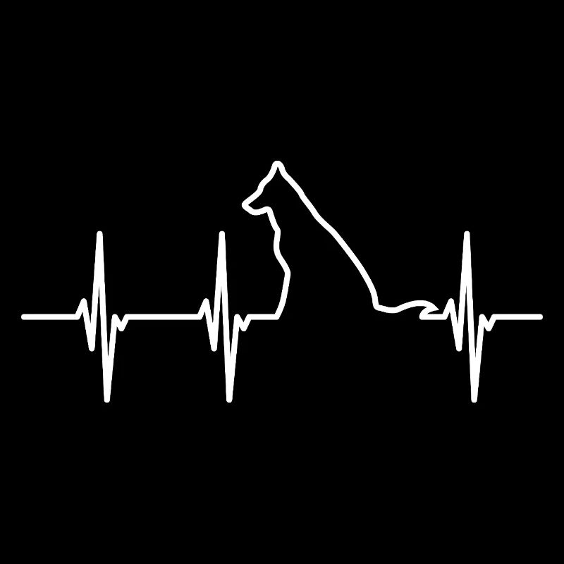 Ligne d’ECG pour chiens