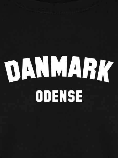 ODENSE Denmark Dänemark