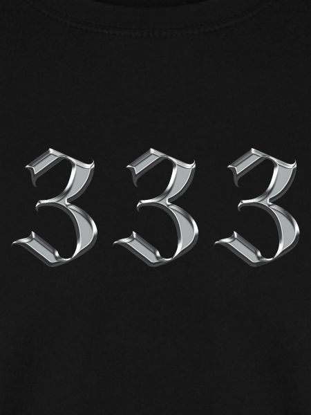 Angel Number 333 Support