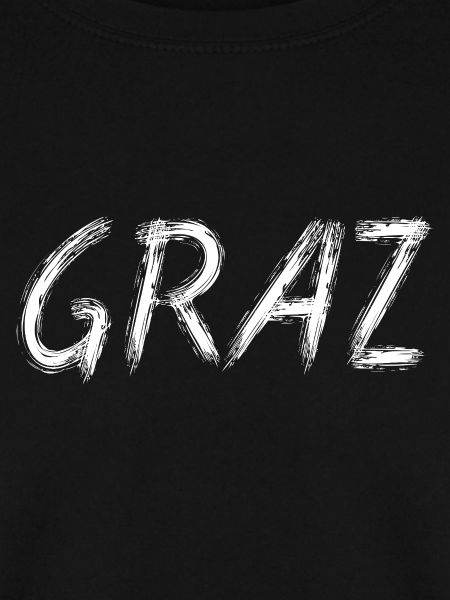 Graz Pinselstraßenkunst