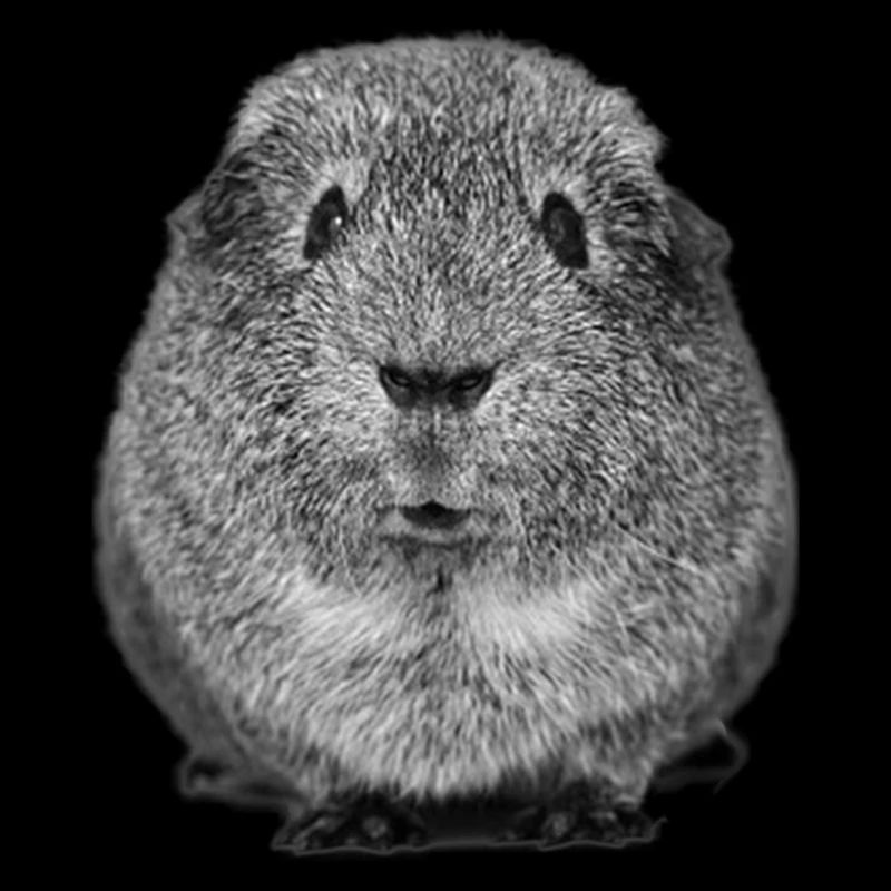 Meerschweinchen