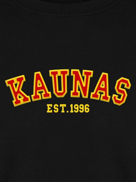 Kaunas gegründet 1996