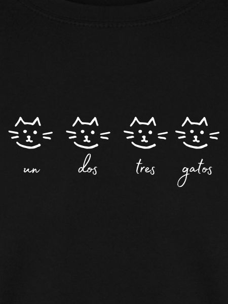 eins zwei drei katzen