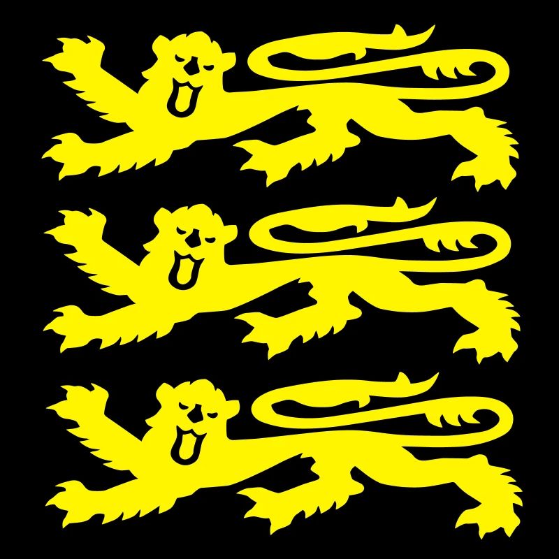 3 Lions