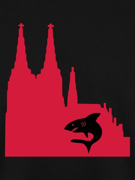 stadt_koeln_2