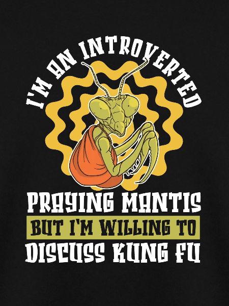 Kung Fu