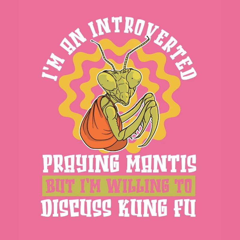 Kung Fu