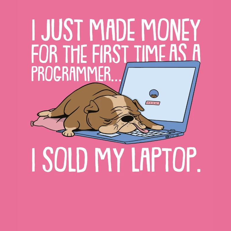 Programmierer Coder Software Entwickler