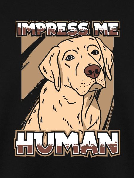 Labrador Hund