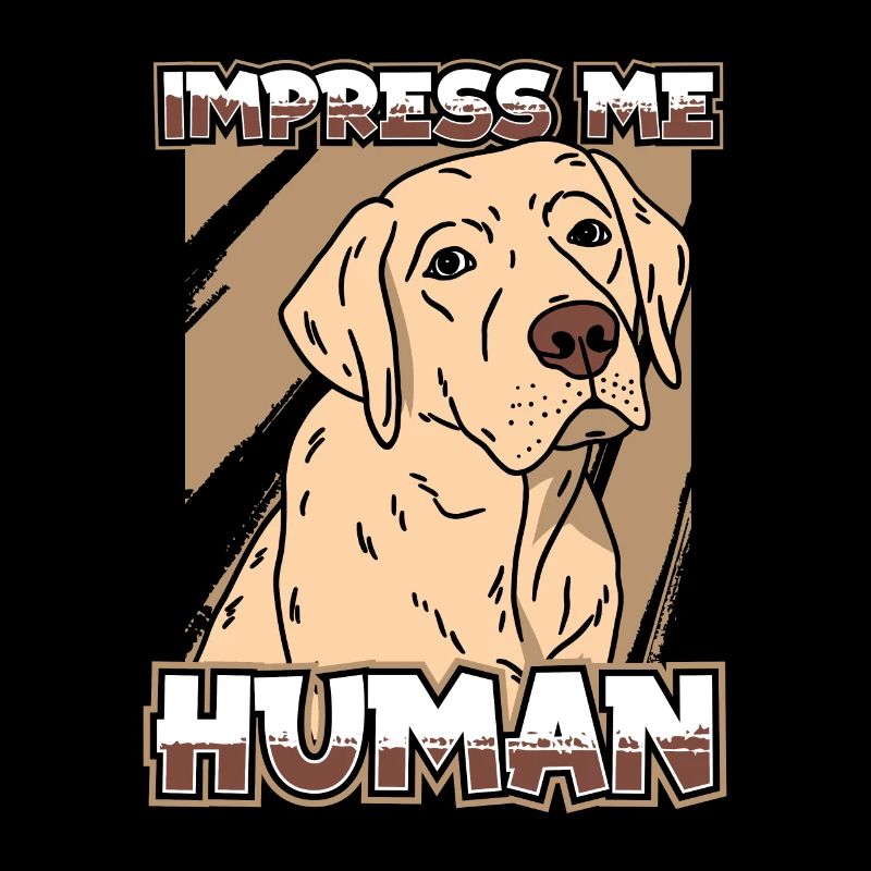 Chien Labrador