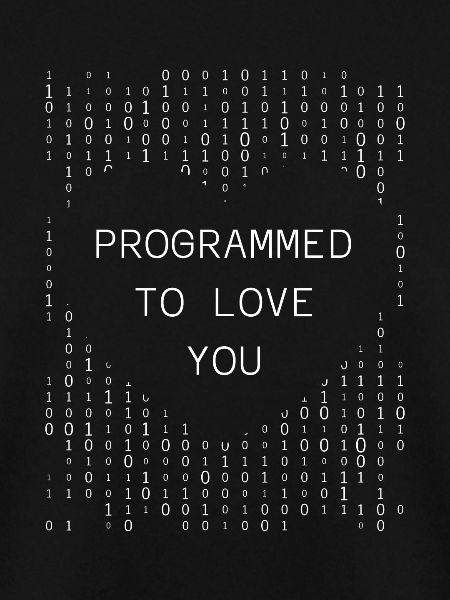 Developer Coder Programmer