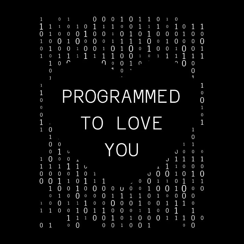 Developer Coder Programmer