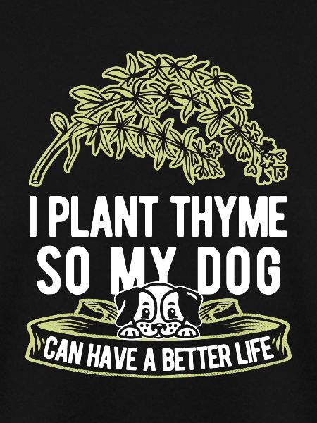 Thyme Herb Dog