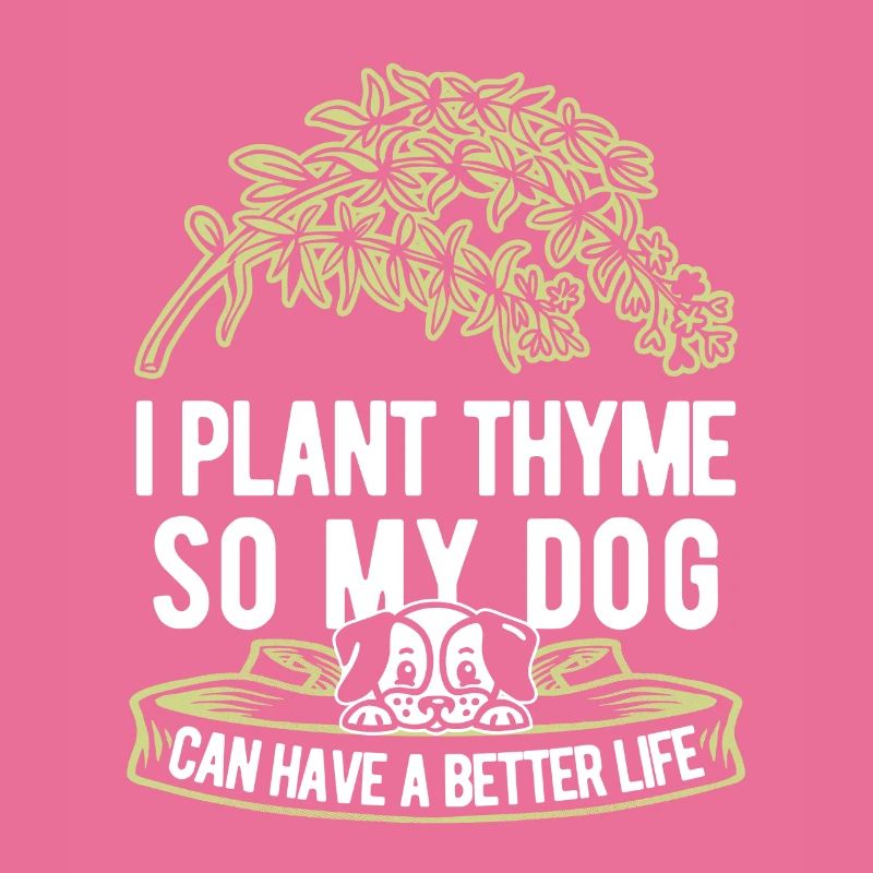 Thyme Herbe Chien