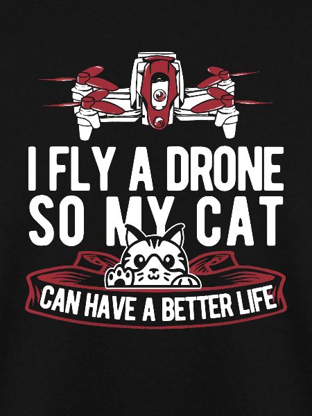 Drohne Quadrocopter Katze