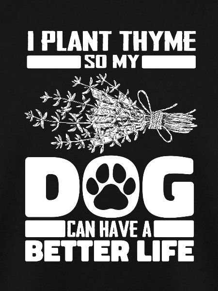 Thyme Herb Dog