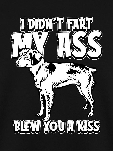 Brittany Spaniel