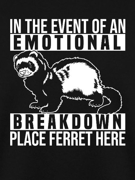 Ferret Iltis Funny