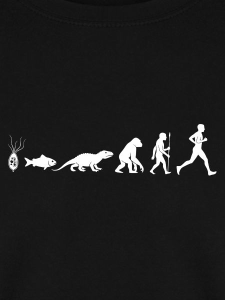 Evolution Run Fitness Silhouette