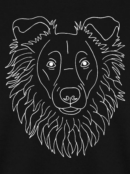 Collie