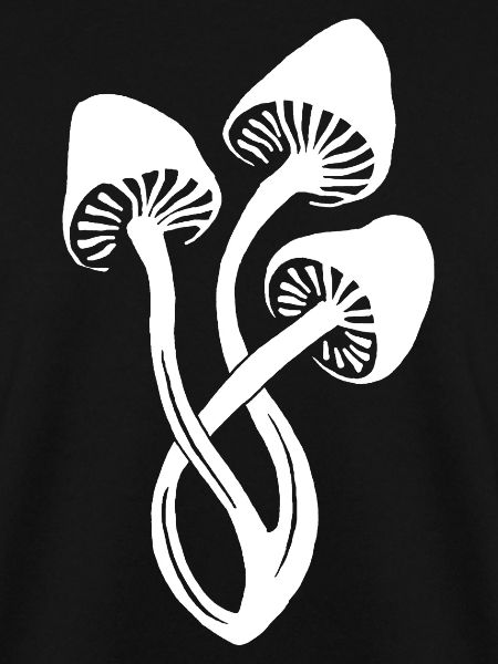 Weißes Pilz-Trio