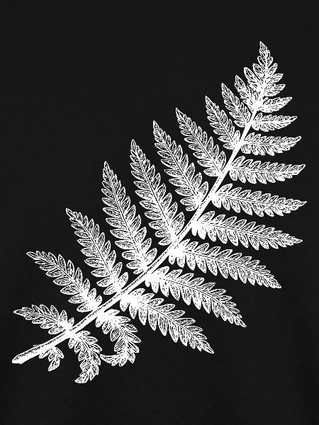 Fern leaf in white silhouette