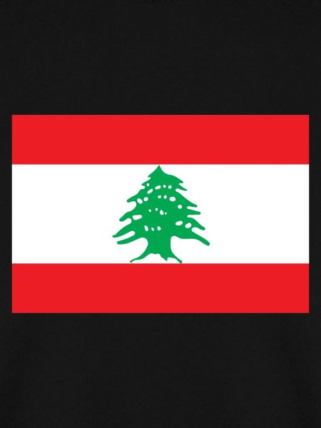 Libanon libanesisch Flagge Fahne