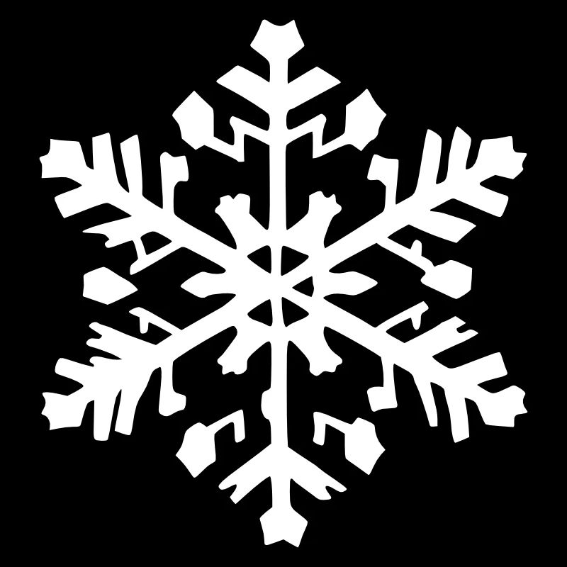 Snowflake Snow Winter Christmas Vector 10