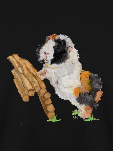 Meerschweinchen