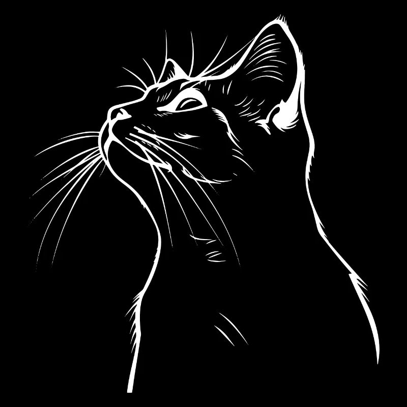 Chat, Motif De Chat, Visage De Chat