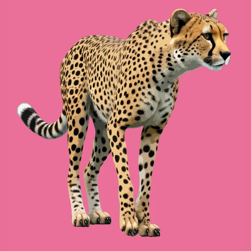 Gepard echt