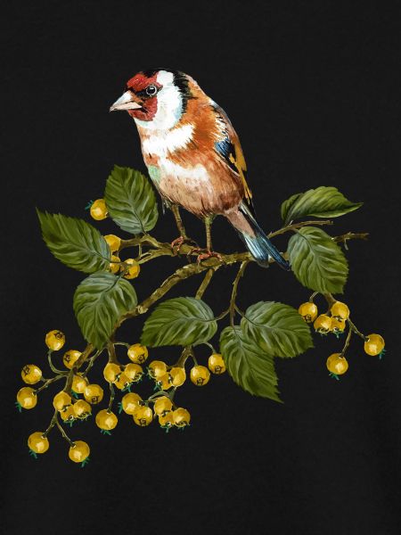 Bunter Vogel