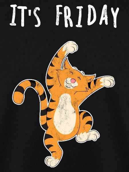 Friday cat weekend