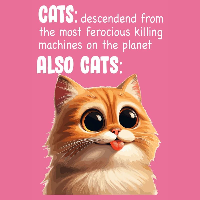 Cute Cat Meme