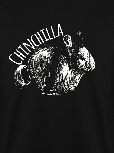 Chinchilla Nagetier