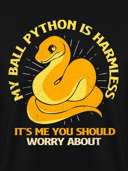 Python