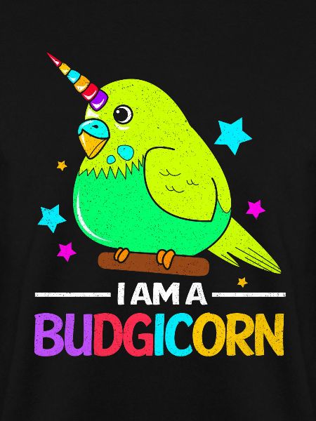 Budgie