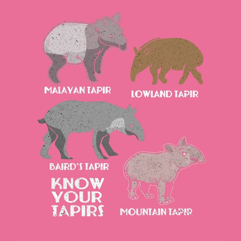 Tapir