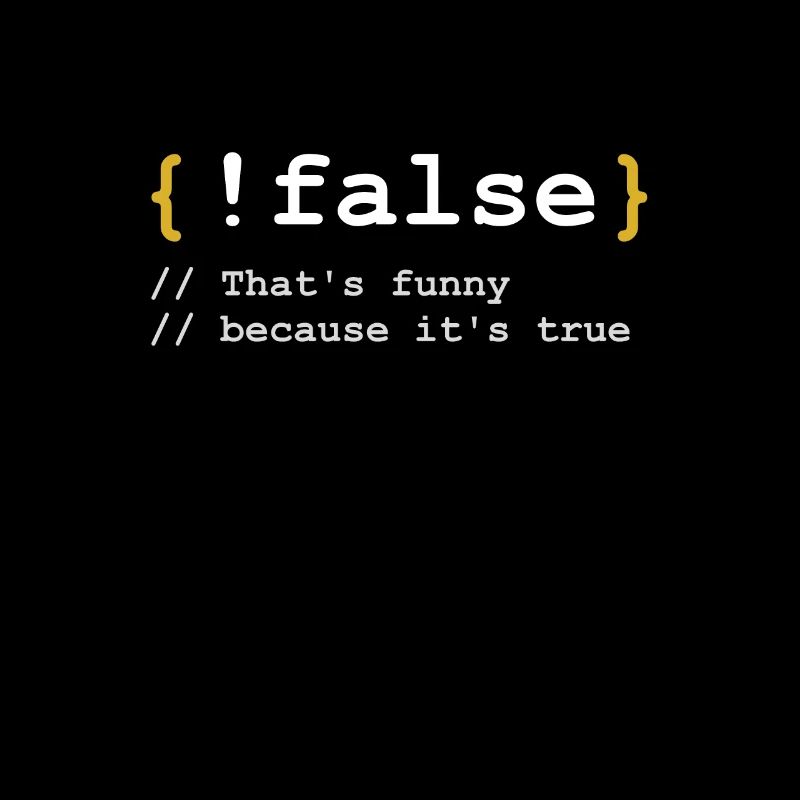 False Geschenk für Informatiker