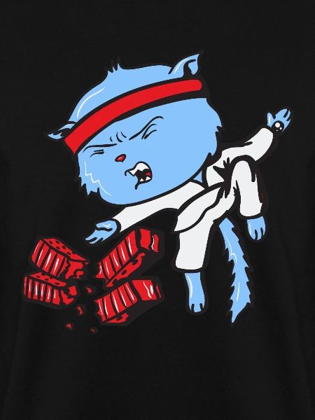Karate cat