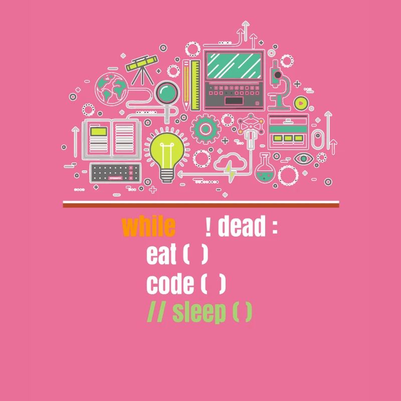 programmeur