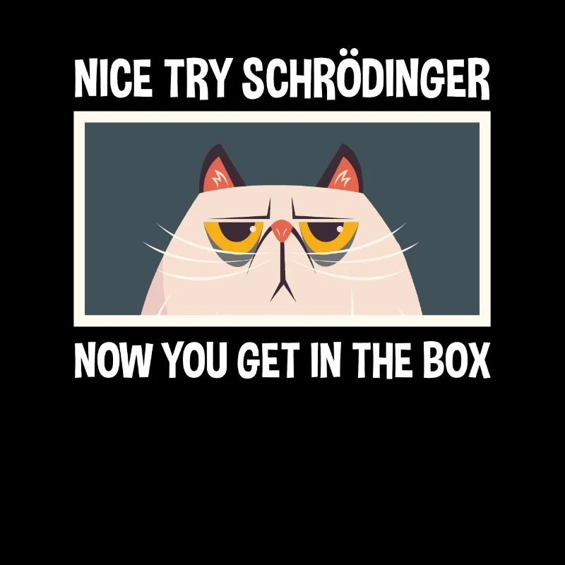 Belle tentative Schrödinger physicien physicien