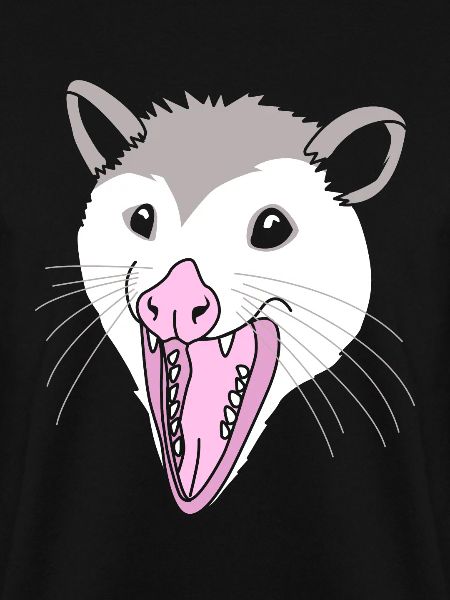 Opossum