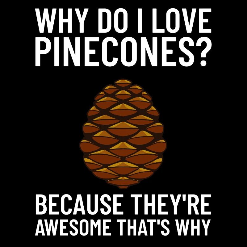 Pine cones Pine cones Pine cones Cones