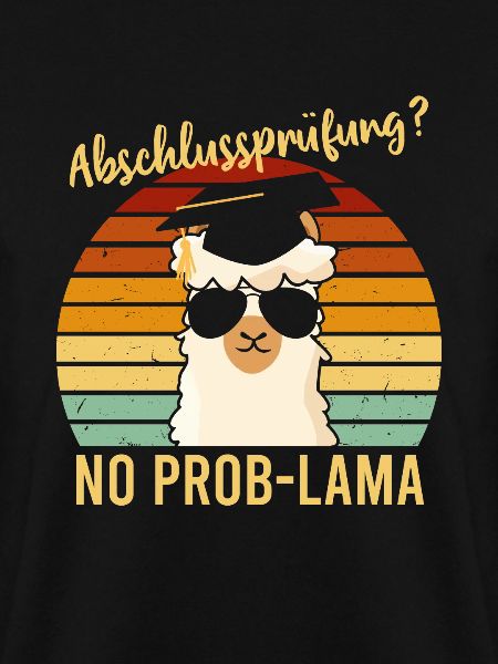 Abschlussprüfung No Problama Schulabschluss
