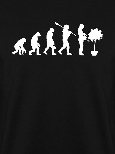 Ficus Evolution Pflanze Gärtner