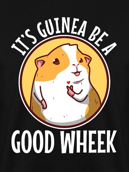 Guinicorn